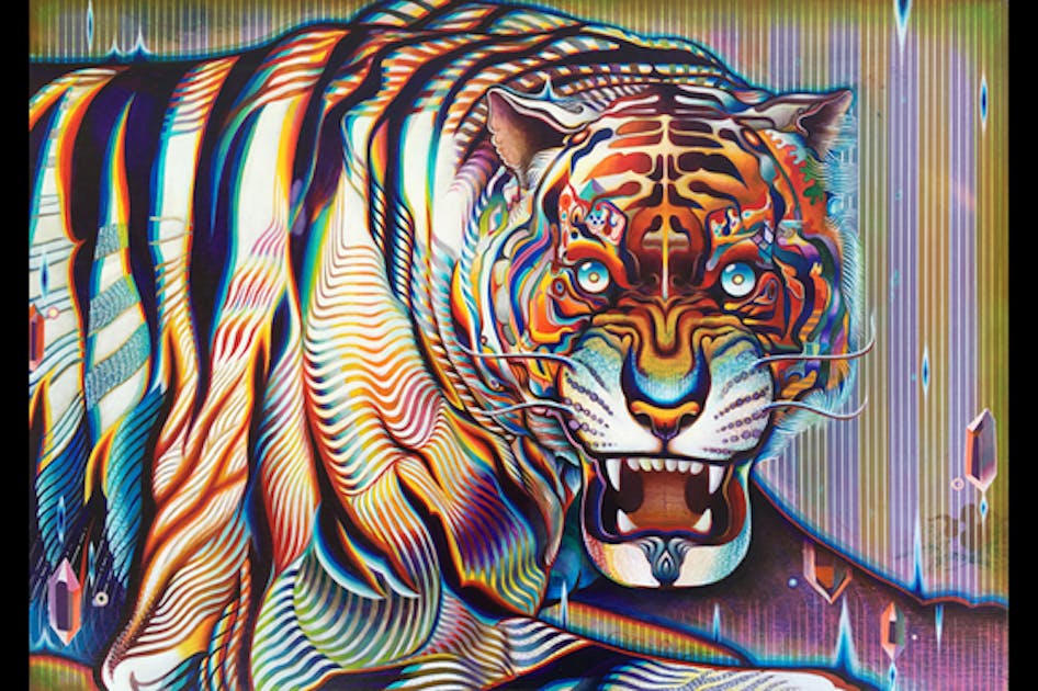 576a10a9-42c8-4cb9-9fff-